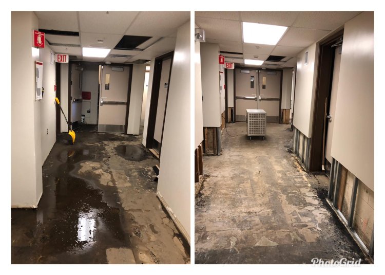 Why is Professional Home Water Damage and Flood Damage Cleanup in Edmonton Essential?