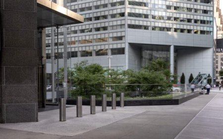 Sidewalk Repair NYC Guide for Safe and Strong Walkways