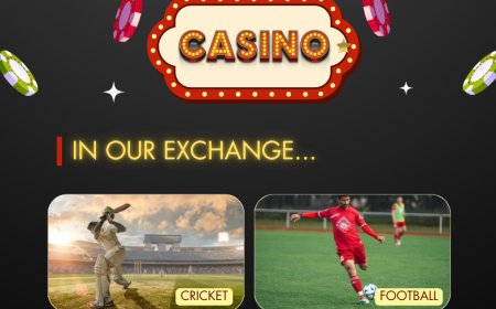 11xplay – Your Ultimate Destination for Online Sports and Casino Entertainment