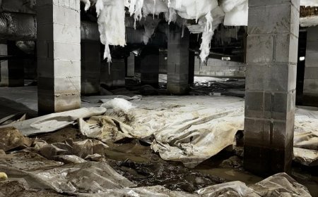 What to Expect from Quality Crawl Space Repair