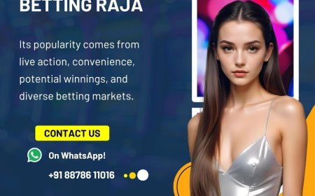 Daily Betting Strategies to Try on Betting Raja