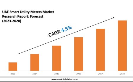 UAE Smart Utility Meters Market Share Analysis by Key Companies & Geography
