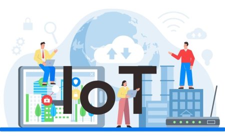 Custom IoT Solutions by Top Chennai-Based Tech IoT companies
