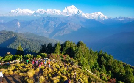 The Truth About This Stunning And Wicked Ghorepani Nepal Hike