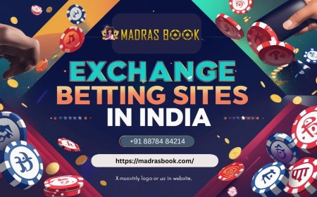 Top Indian-Friendly Exchange Betting Platforms to Try Today