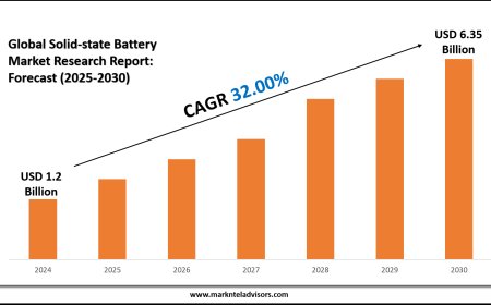 Solid-state Battery Market Share Analysis by Key Companies & Geography