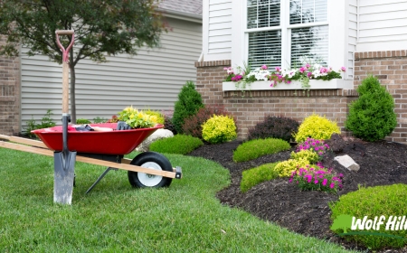 Landscaping in Manassas, VA That Brings Out the Best in Your Home