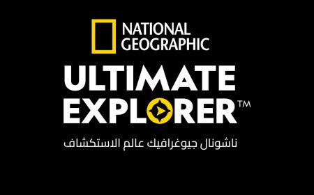 What Is a Crittercam? Discover Kuwait’s Window into Wildlife