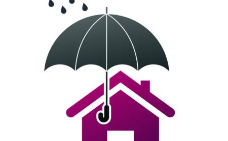 Protect Your Drive with RainShield