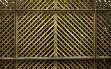 From Installation to Repair – Complete Fencing Services in Jay, FL