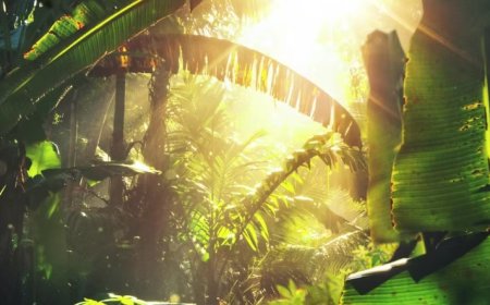 Bring Prehistoric Fun to Life: Dinosaur Rental for Parties