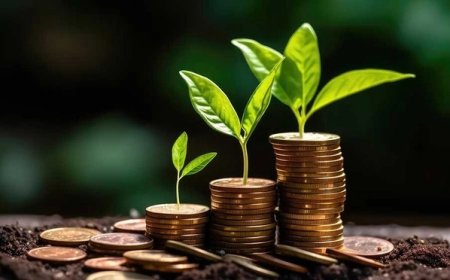 What's the Real Cost of Not Using Mutual Fund Software in India for Your Business?
