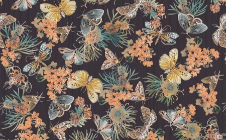 Wall Paper Installation Price Breakdown – Affordable Rates Available