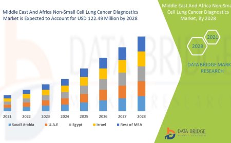 Advances in Oncology Propel Middle East and Africa Non-Small Cell Lung Cancer Diagnostics Market