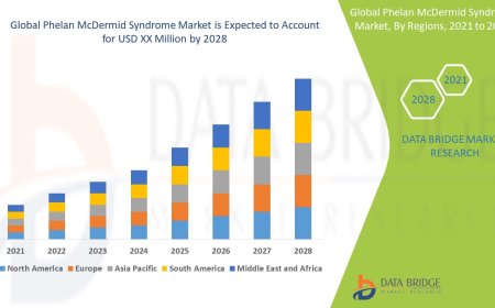 Research Advancements Support Growth in Phelan McDermid Syndrome Treatment Market