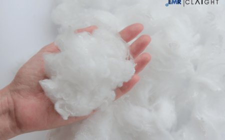 Polyester Fiber Market Size & Share | Growth - 2034