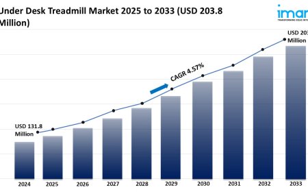 Under Desk Treadmill Market Size, Growth, and Forecast 2025-2033