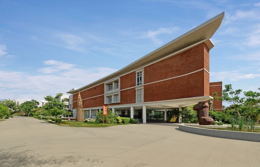 Return on Investment: BCA Colleges in Gujarat with Best Placement Packages