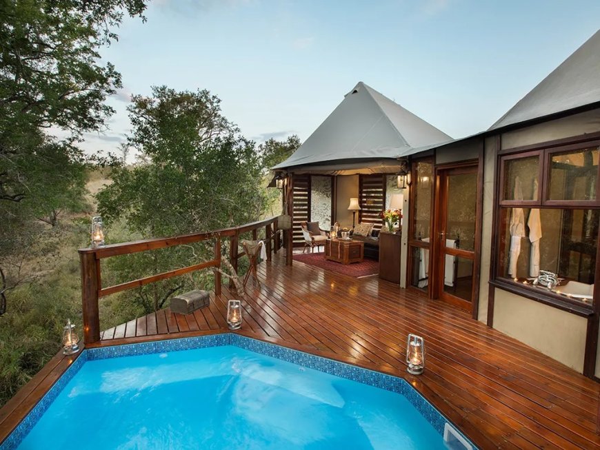 Top Rated Kruger Park Safari Packages for 2025 with Guided Tours Wildlife Adventures and More