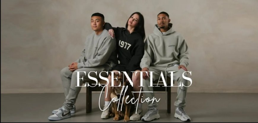 Essential Hoodie Trends 2025: What’s In Right Now