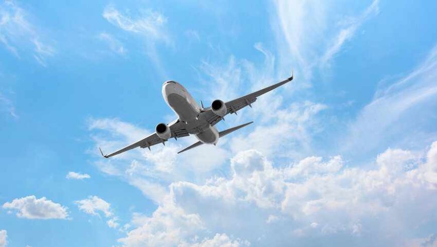 Vision-Impaired Travel Help at American Airlines PHX Phone Number