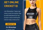 Evolution of Cricket ID Systems in the Digital Betting World