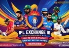 Dream Exchange ID: How to Get Started with Safe & Fast Cricket Betting in India