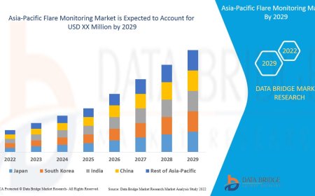 Asia-Pacific Flare Monitoring Market Trends, Insights and Future Outlook