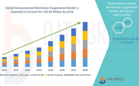Extracorporeal Membrane Oxygenation Market: Key Trends and Future Growth Forecast to 2028