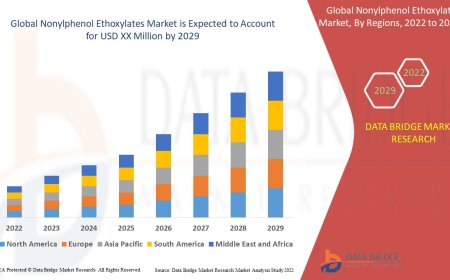 Nonylphenol Ethoxylates Market Dynamics: Trends and Forecast to 2029