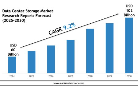 Data Center Storage Market Forecast 2025–2030: Size, Share, and Growth Trends