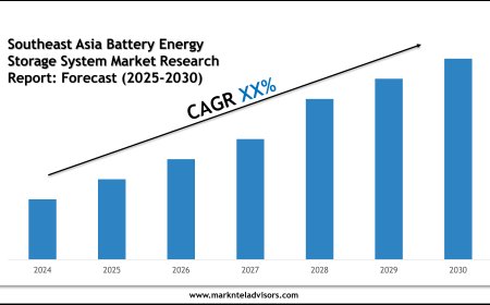 What Is the Market Size of Southeast Asia Battery Energy Storage System Market? Forecast & Trends 2025–2030