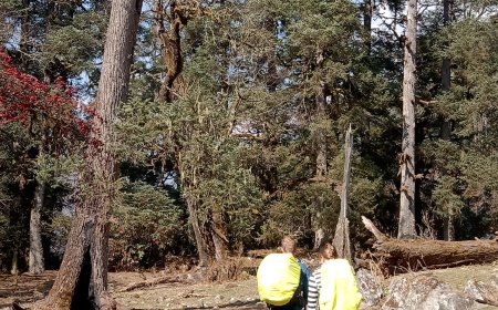 How to Leave Them Aching for More After This Epic Trek: Annapurna