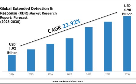 Comprehensive Global Extended Detection & Response (XDR) Market Report 2025–2030 with Key Insights