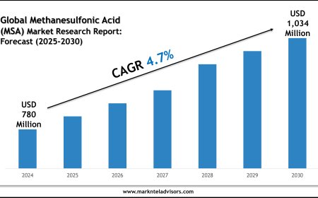 Methanesulfonic Acid (MSA) Market Trends 2025–2030: Research Report Overview