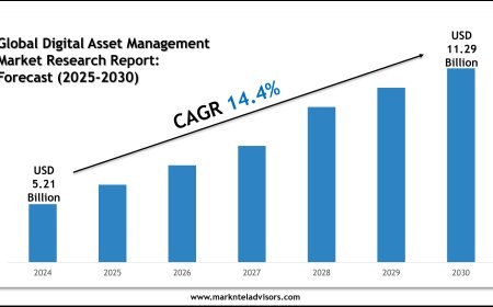 2025–2030 Digital Asset Management Industry Outlook: Trends Led by Frontify AG, North Plains
