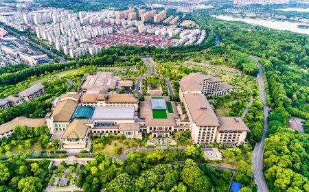 Real Estate Companies in Lagos You Can Trust for Investing in Nigeria