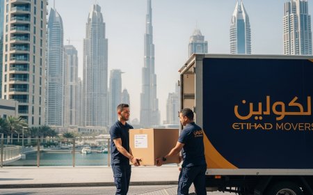 Top 20 Furniture Movers and Packers in Dubai: How, What, When & Why You Should Hire Them