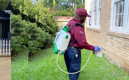 est Control Packages for Waco Homeowners – What’s Included & What to Expect