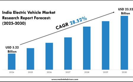 India EV Market Share by Vehicle Type & Revenue Projections