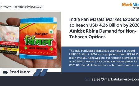 CAGR of 3.23% Projected for India Pan Masala Market (2025–30)