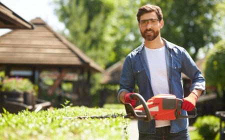 Mississauga Landscaping, Lawn Care Companies in Mississauga Delivering Expert Services