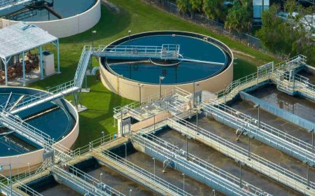 Wastewater Treatment: Transforming Effluent into Valuable Resources
