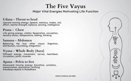 Understanding the Vital Energy: A Comprehensive Look at the Definition of Prana