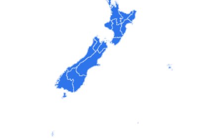 New Zealand Import Data: Top Products & Suppliers Revealed