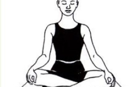 Discover the Best Yoga Teacher Training and Certification Near Me