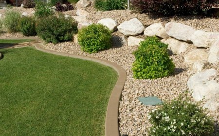 How to Create the Perfect Outdoor Space in South Auckland