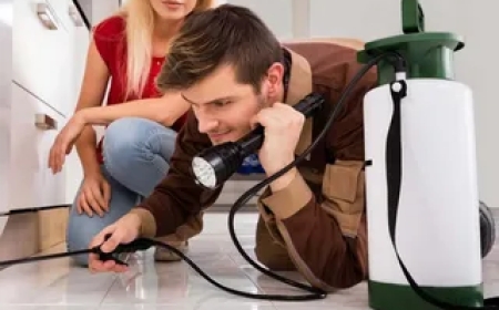 Exterminator Near Me: Choosing a Trusted Expert