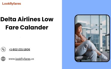 A Guide on Learning to use the Delta’s low fare calendar tool!