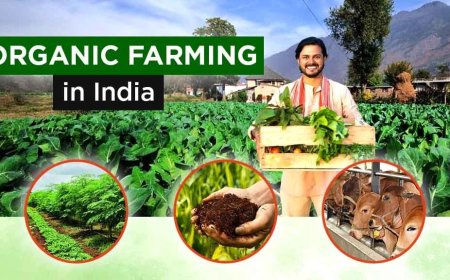 What are The Organic Farming Types and Methods of Farming